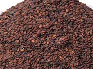 Manufacturers Exporters and Wholesale Suppliers of BROWN SESAME SEED Navi Mumbai Maharashtra